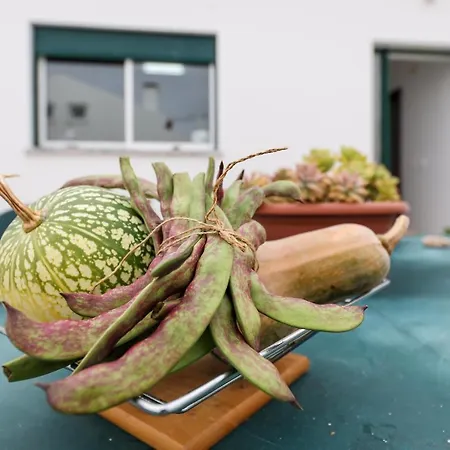 Casas Com Amoras In Serra Da Pescaria *